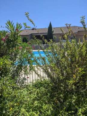 carré de détente JACUZZI JARDIN PISCINE T3 PARKING